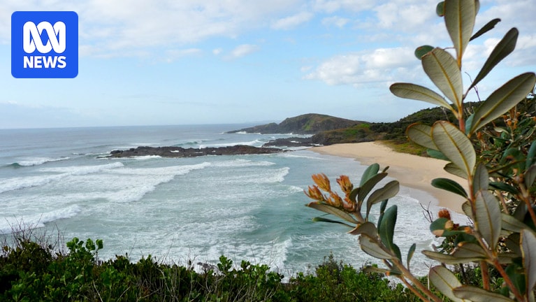Surfer bitten by shark at Point Plomer on NSW Mid North Coast