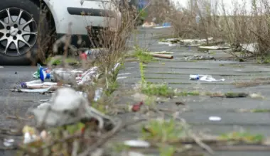 Subscribe Placeholder