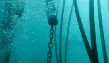 Non-lethal barriers proposed for Australian beaches