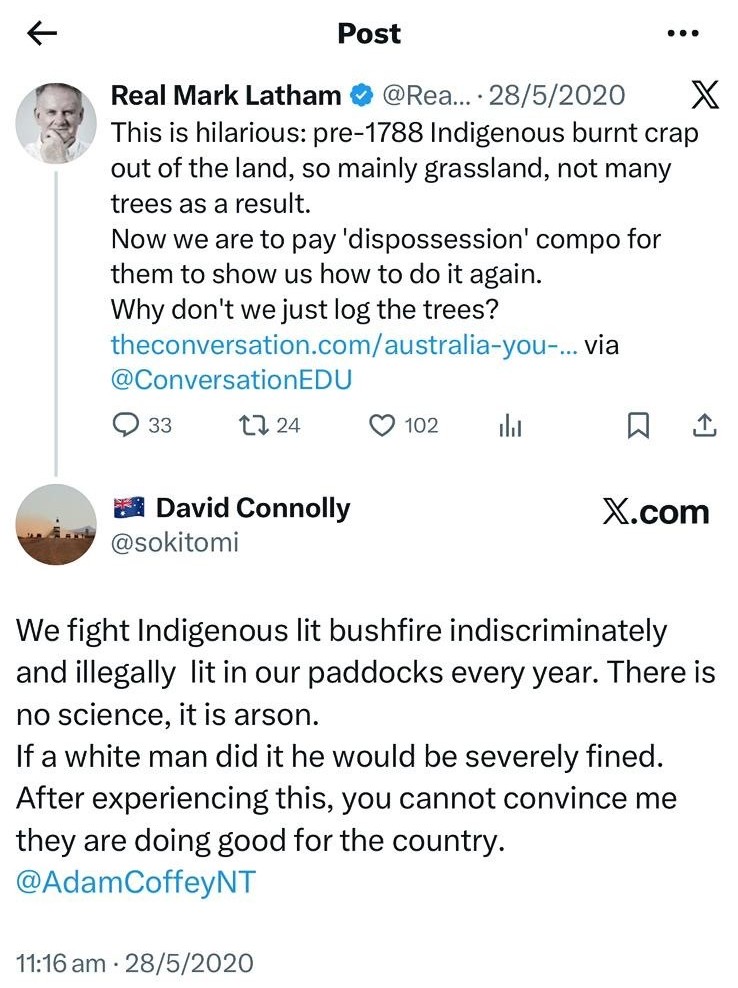 Screenshots of tweets talking about bushfires.