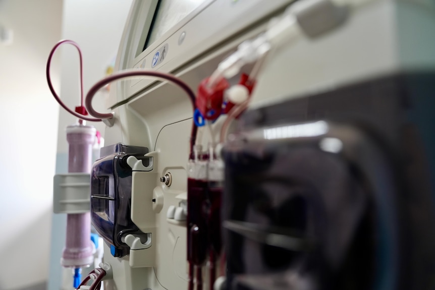 Dialysis equipment photographed during treatment. Blood is seen running through tubes.