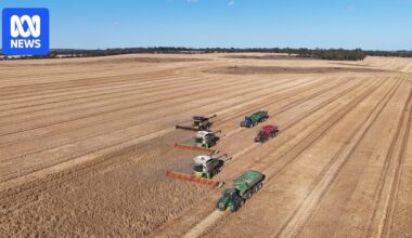 WA growers set for massive 27 million tonne grain haul, breaking previous 2022 record