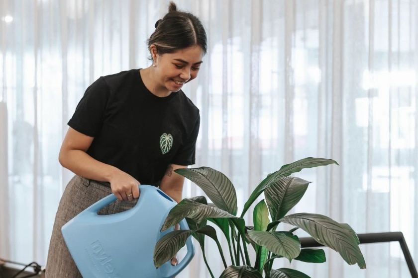 A young woman holding a blue watering can and watering a potted plant indoors.