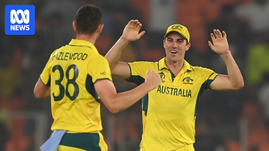 Pat Cummins, Josh Hazlewood and Tim David named in Australia's T20 World Cup squad despite injuries