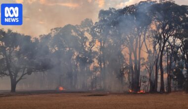 'Catastrophic' fire warning for Victoria as out-of-control bushfires grow