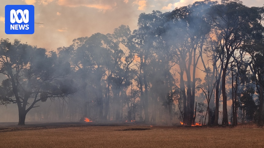 'Catastrophic' fire warning for Victoria as out-of-control bushfires grow