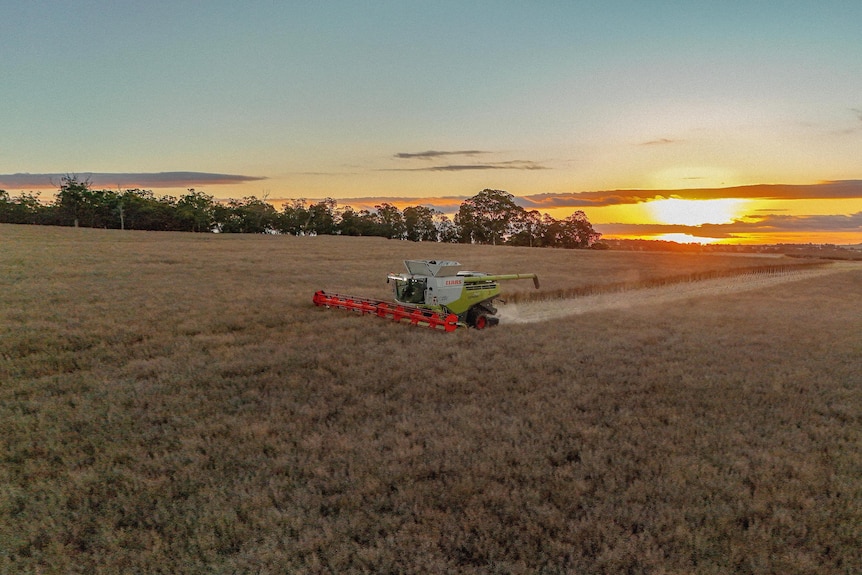 a harvester in a paddock