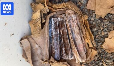 Explosives discovery in Kalgoorlie reno sparks memories of time when gelignite was sold in shops