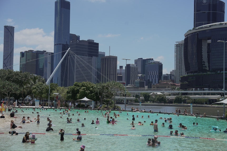 A crowd of people in a lagoon with the Brisbane city skyline in the background.