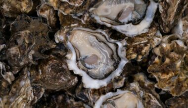 NASA satellite data helps oyster farmers choose where to grow