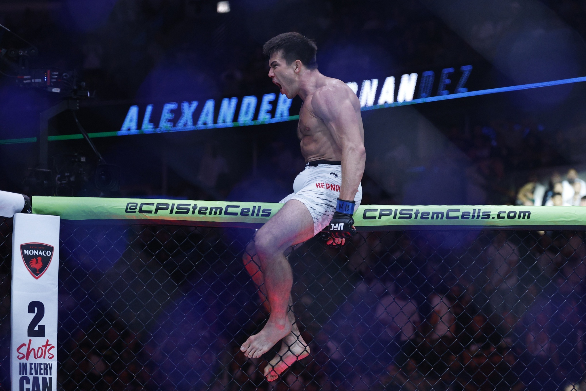 Hernandez of the UFC