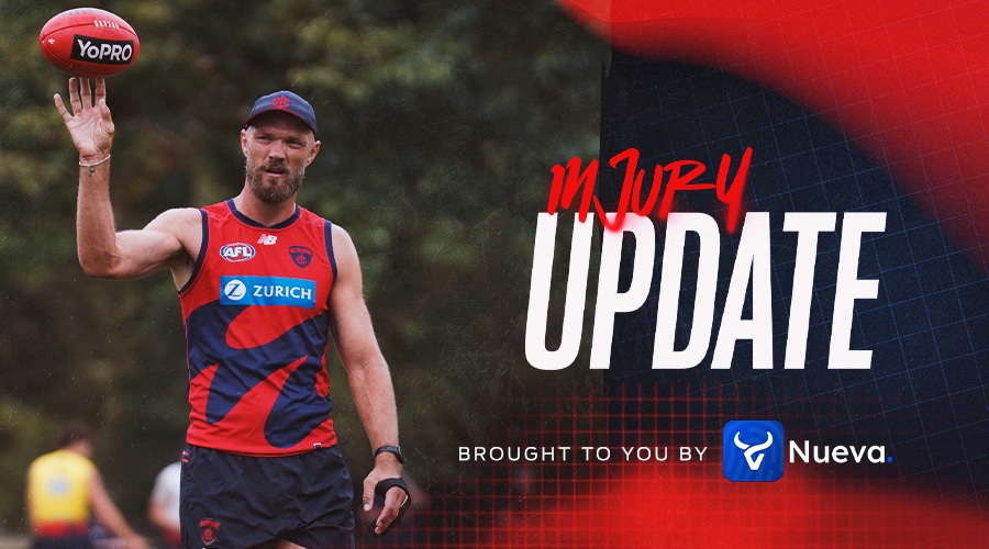 Pre-season update | Demons sidelined