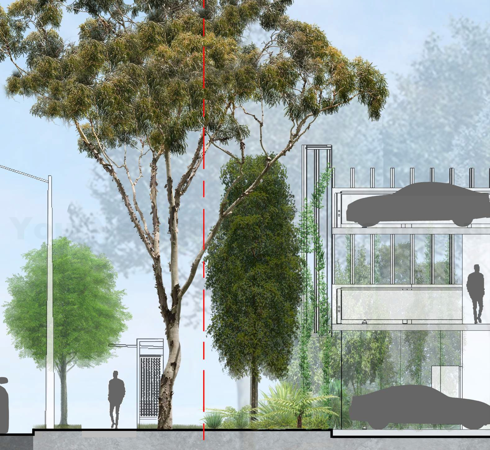 Aspley Hornets AFL Club, 50 Graham Road, Carseldine (2)