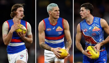 Western Bulldogs; Kane Cornes on Dogs defence; Premiership Tip
