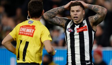 Pies gun relives contentious prelim call
