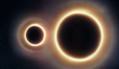 two businessmen talking