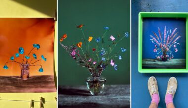 Three images: a vibrant orange-toned photo of blue flowers, a glass vase with colorful wildflowers on a dark green background, and a framed blue floral photo on the floor with a person’s feet visible in socks and shoes.