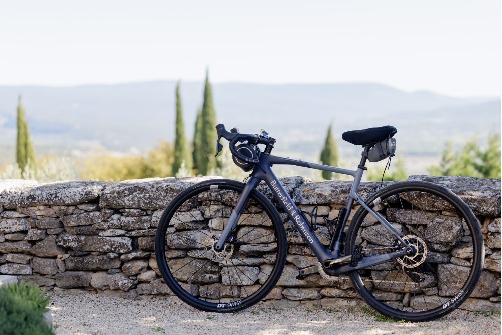 Butterfield & Robinson custom e-bike