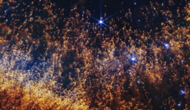 Hundreds of gold and orange clouds with feathered trails going down behind them. The small clouds are covering a few scattered, bright stars.