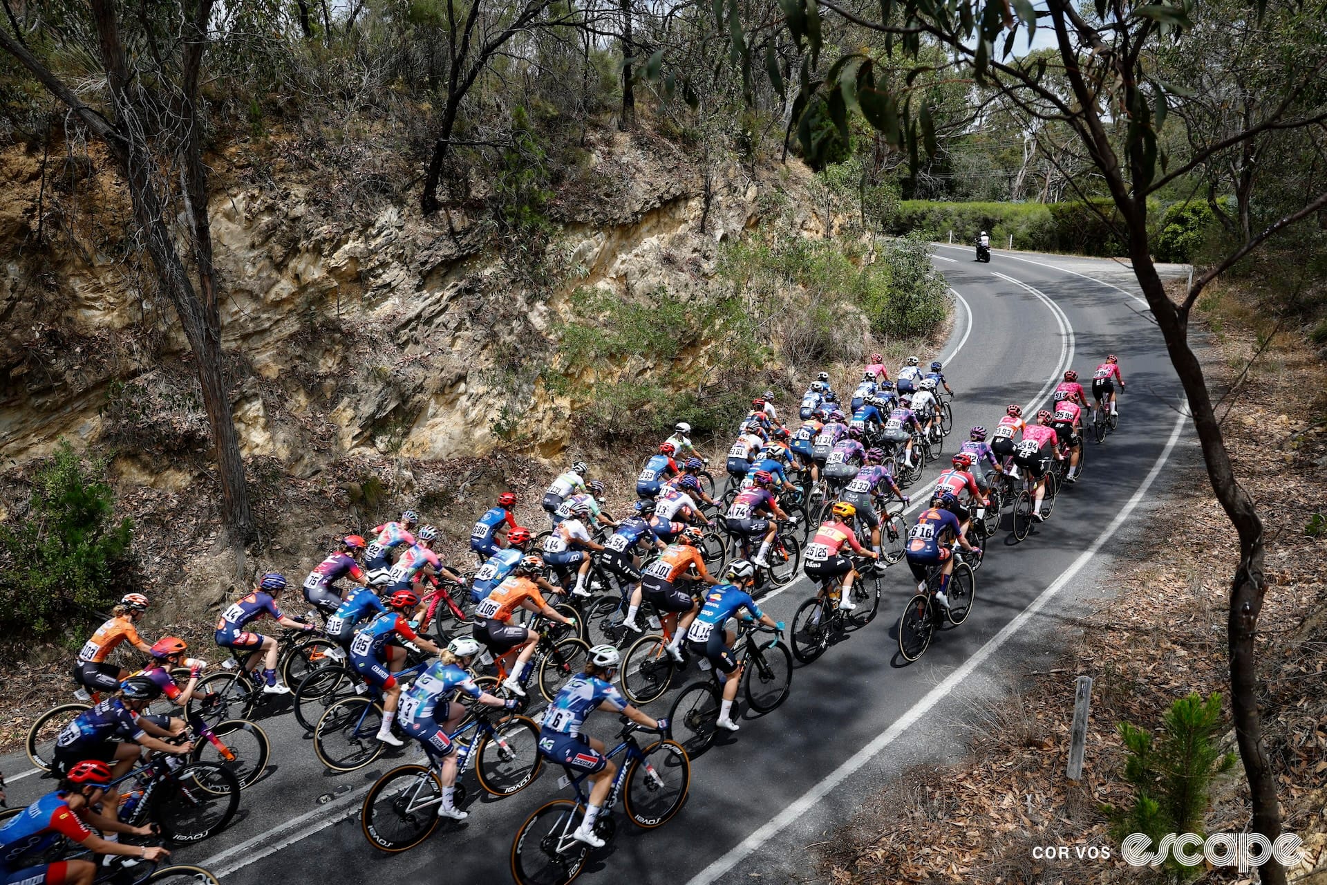 Australia’s WorldTour races are no longer optional – here's what that means