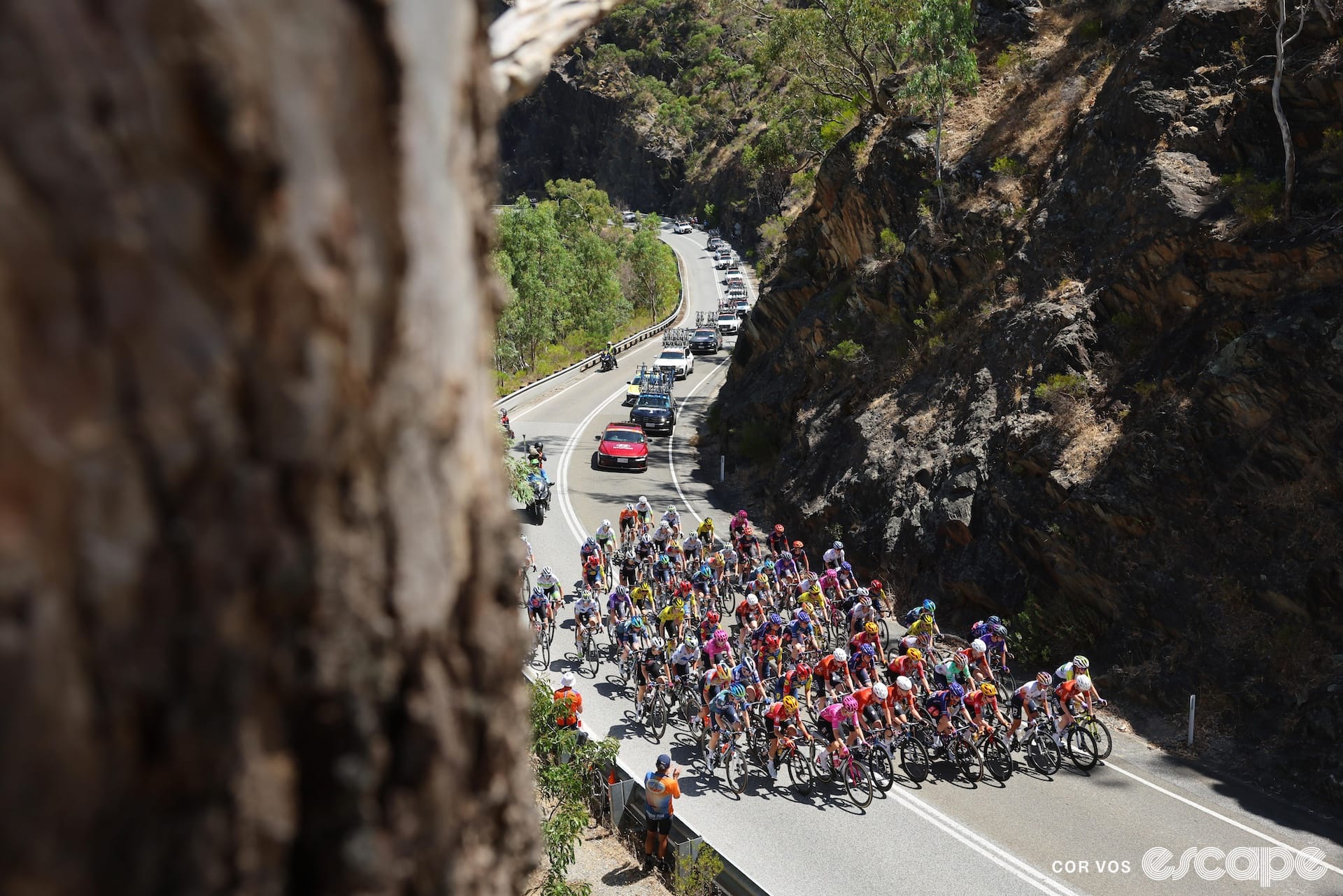 Reporter's Notebook: What you didn't see at the Tour Down Under