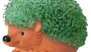 They're Making a Movie About What?!?!