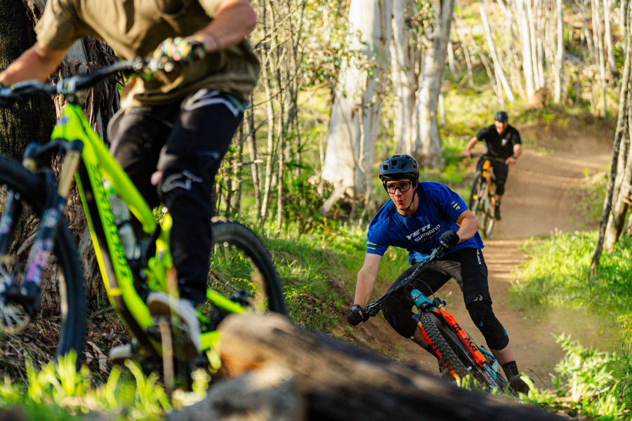 Cycling tourism takes Victoria up a gear | News and articles