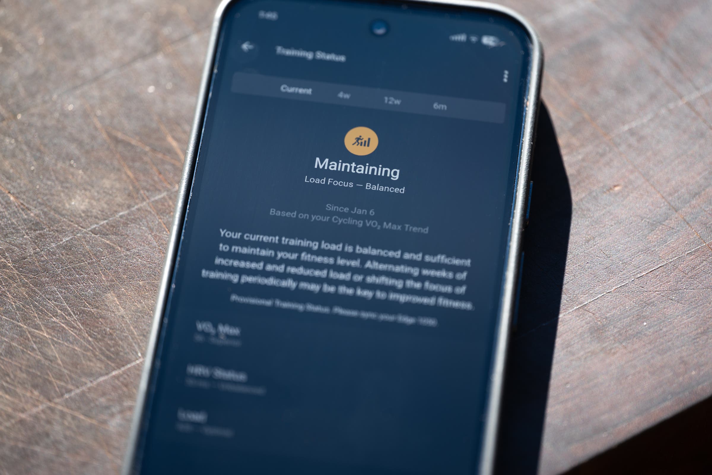 Garmin Connect Training Status