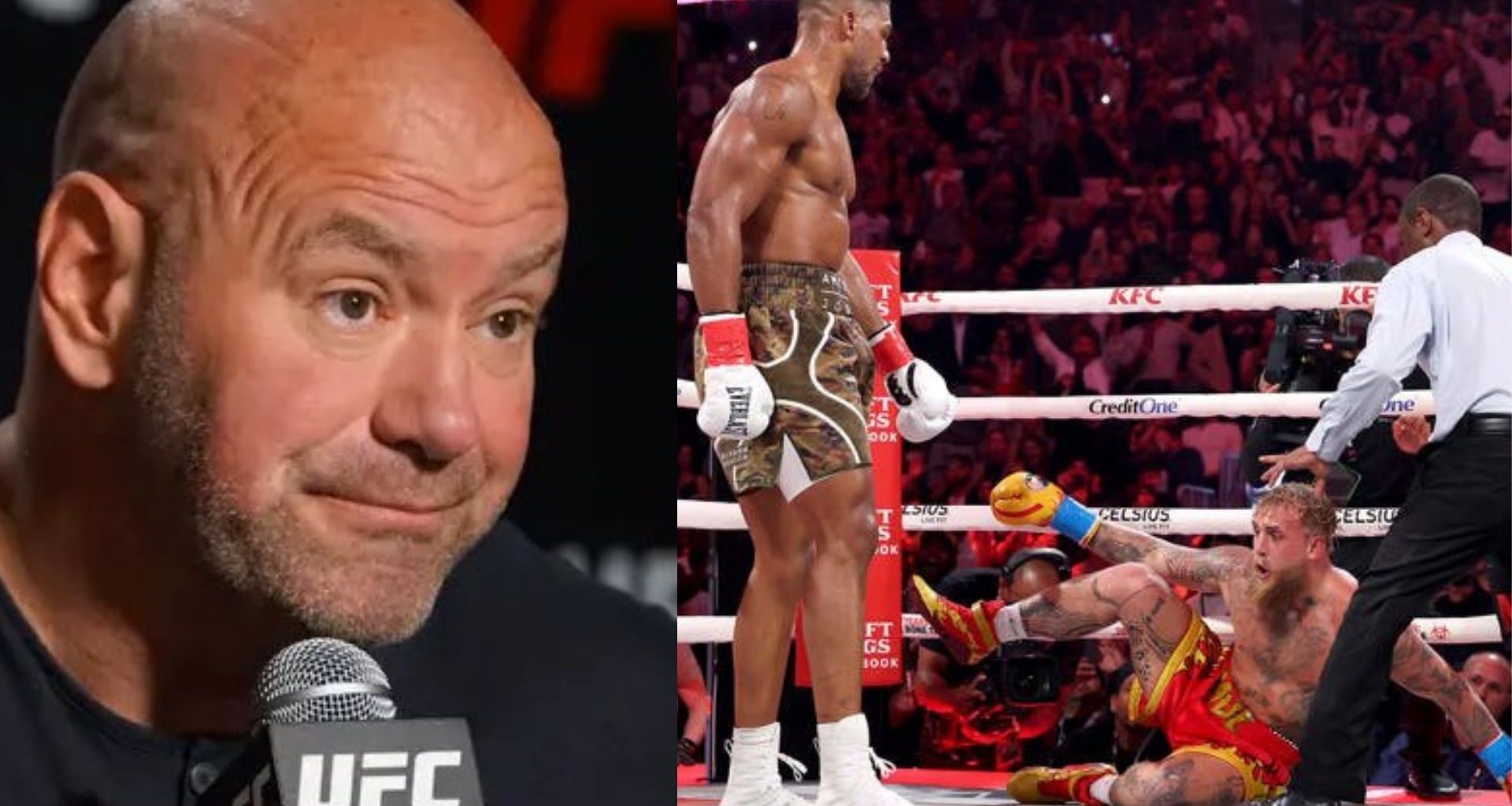 Dana White