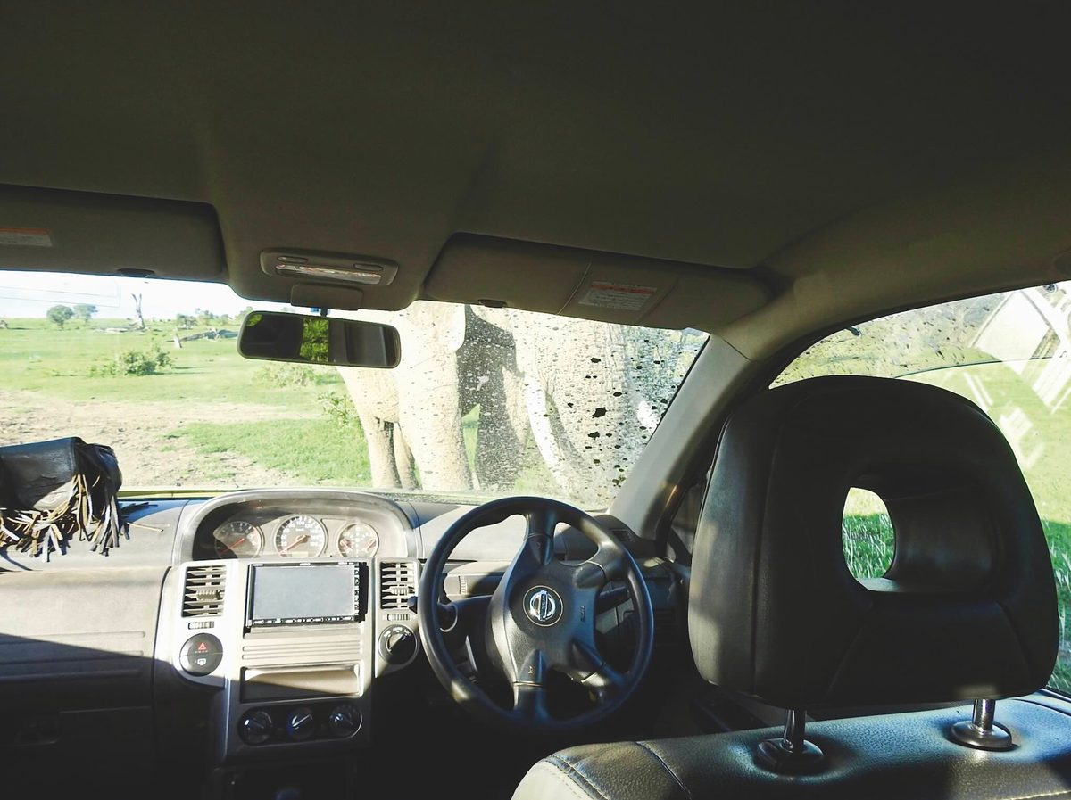 Daniel Stiles elephant Kenya