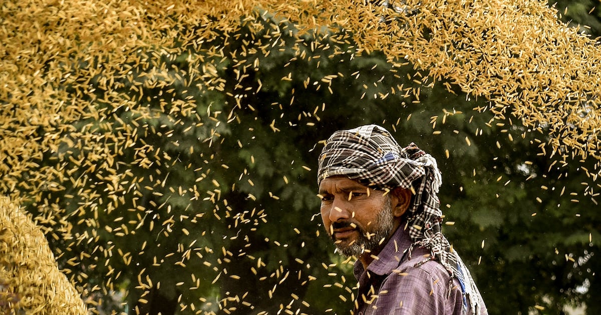 Why the world has started stockpiling food again – The Irish Times