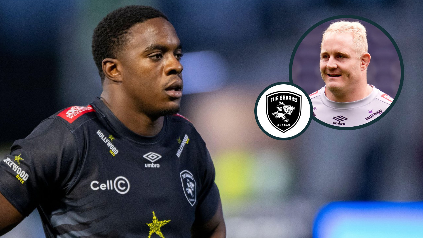 Springboks hopeful the 'shining light' with superb try in Sale loss