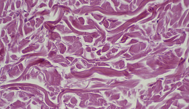 Scientists May Have Found a Blueprint to Revive Old Cells : ScienceAlert