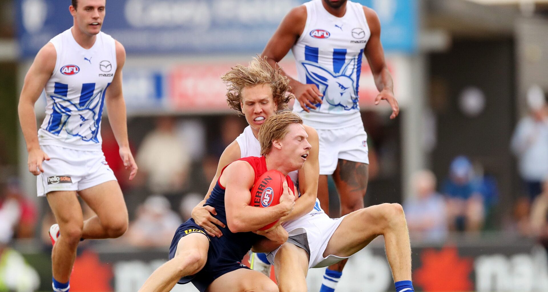 Casey land former Roo - AFL News