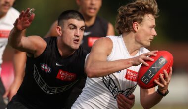 Collingwood defender suffers quad injury at training - AFL News