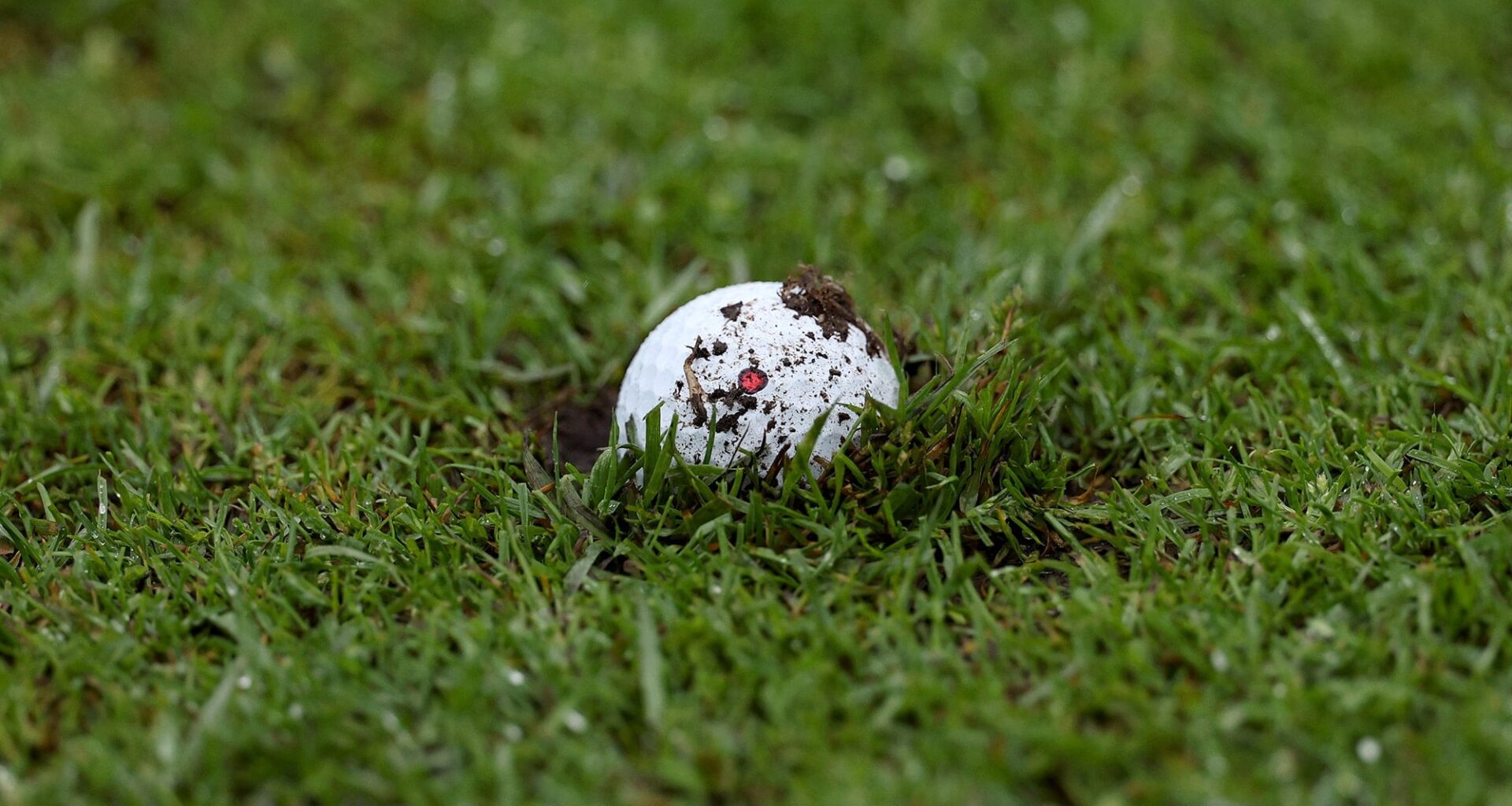 embedded ball