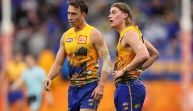 Ankle injury to sideline important West Coast defender - AFL News
