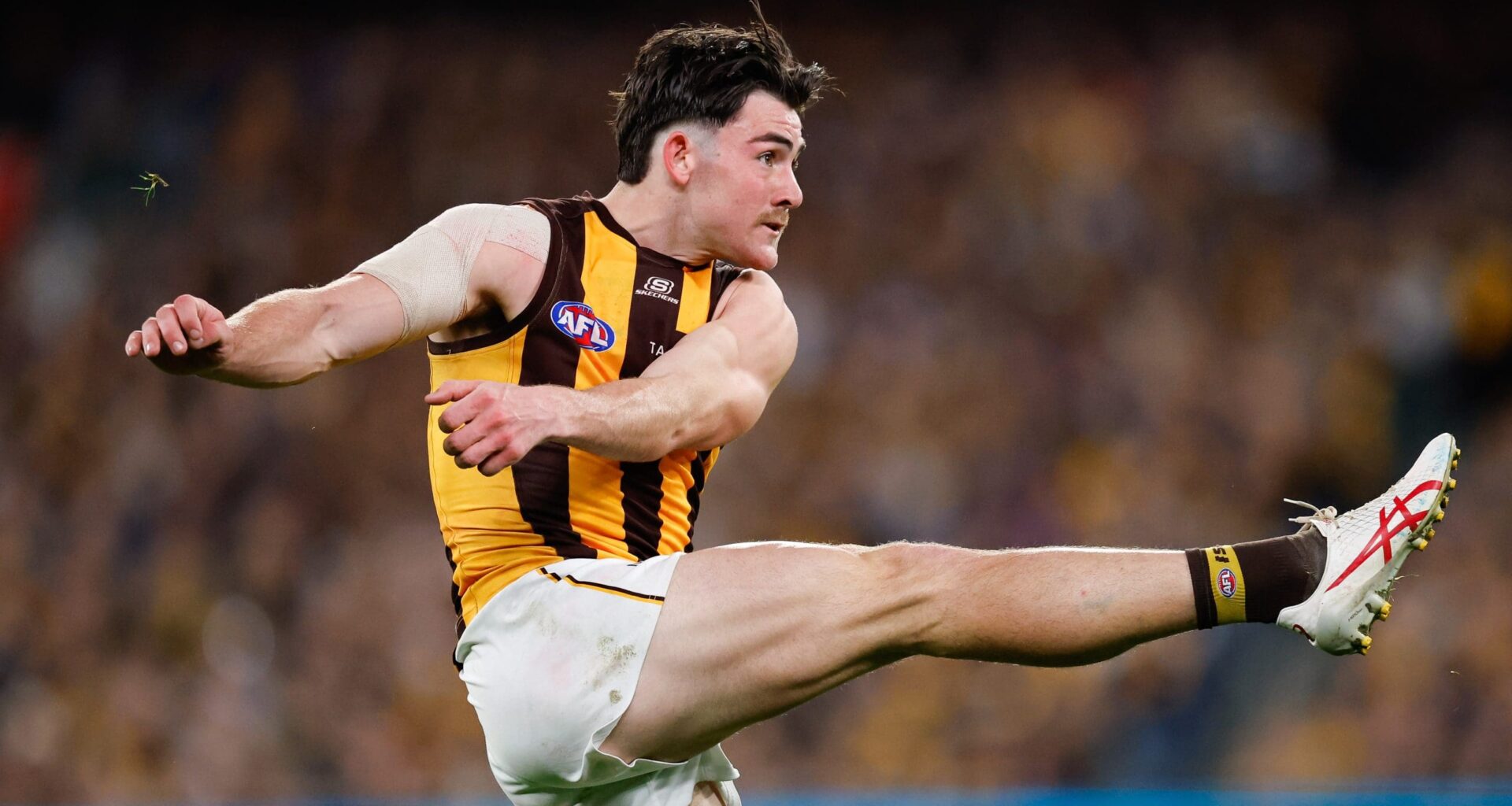 "Taken aback": Newcombe surprised by captaincy nod, addresses midfield concerns - AFL News