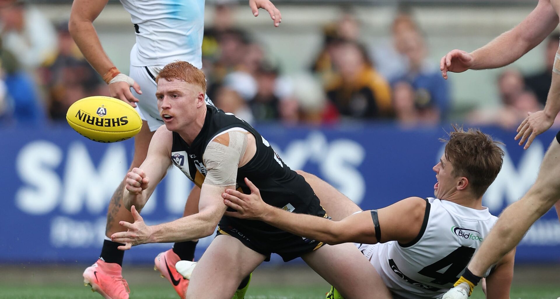 MELBOURNE, AUSTRALIA - SEPTEMBER 22: Jack Riding of the Tigers handpasses the ball during the 2024 VFL Grand Final match between Werribee and the Southport Sharks at IKON Park on September 22, 2024 in Melbourne, Australia. (Photo by Rob Lawson/AFL Photos via Getty Images)