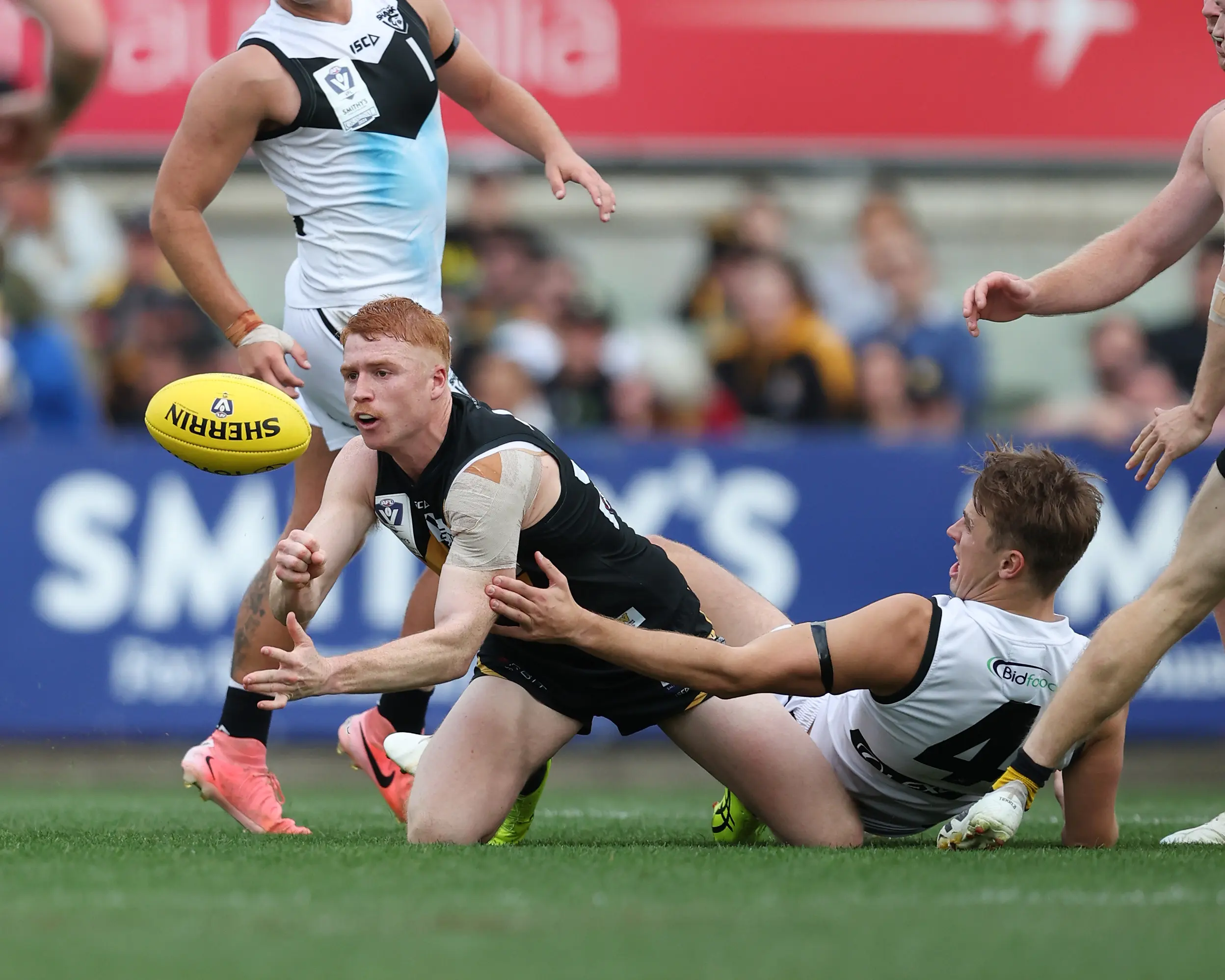 MELBOURNE, AUSTRALIA - SEPTEMBER 22: Jack Riding of the Tigers handpasses the ball during the 2024 VFL Grand Final match between Werribee and the Southport Sharks at IKON Park on September 22, 2024 in Melbourne, Australia. (Photo by Rob Lawson/AFL Photos via Getty Images)