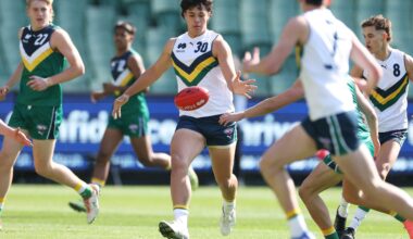 Casey Demons VFL list taking shape - AFL News