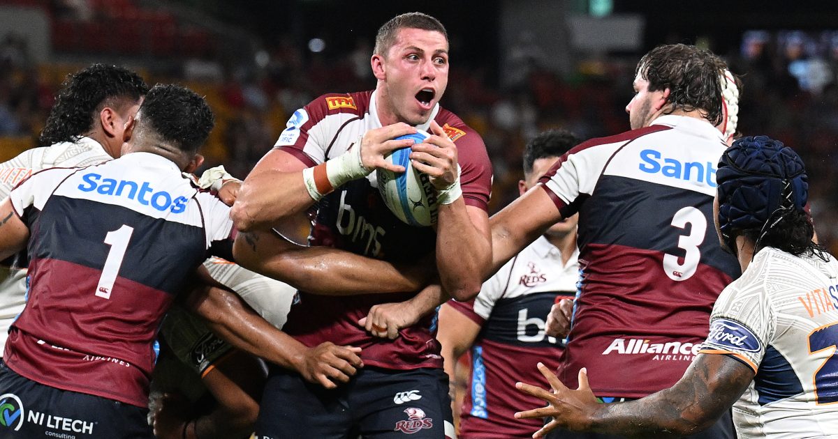 Wallabies lock Josh Canham 'hungry to prove myself' with new deal