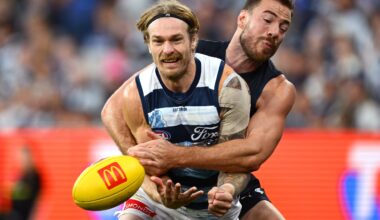 AFL Pre-Season Fixture: Your team's Community Series and match simulation opponents - AFL News