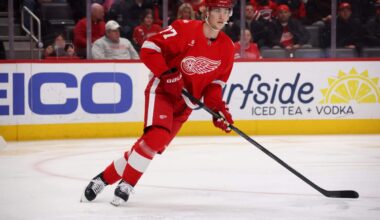 The Red Wings’ depth has arrived. With Simon Edvinsson out, it will now be tested