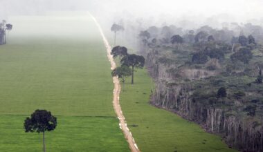 A major agreement to protect the Amazon is falling apart after 20 years