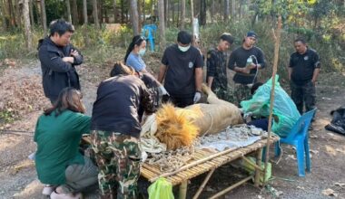 Photo of Chattarin Siradakul