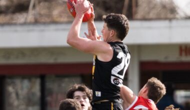 Seven drops "not commercially viable" VFL