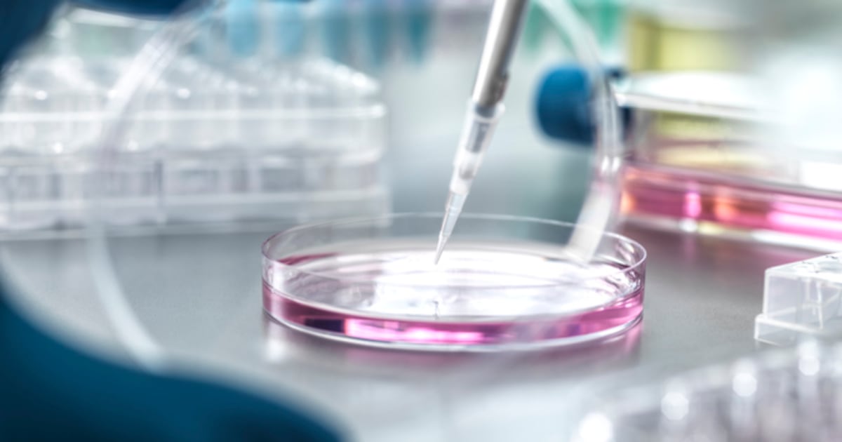 Asparagus root extract, magnesium L-threonate and more in science round-up