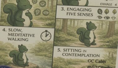 Georgetown County introduces ‘calm spots’ for mental health