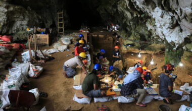 Deep revelation: Landmark dig at Sulawesi cave could reveal overlap between extinct humans and us